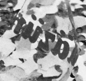 Zauberhut